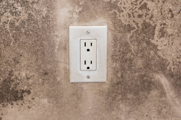 Forensic Mold Investigation in Port Arthur, TX